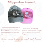 Big Lil Bro or Sis (Embroidered) - Brother Sister Matching Hats