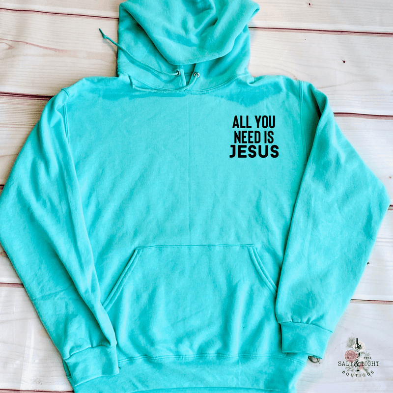 ALL YOU NEED IS JESUS MEN'S HOODIE - Salt and Light Boutique