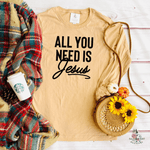 ALL YOU NEED IS JESUS FALL LONG SLEEVE T SHIRT - Salt and Light Boutique
